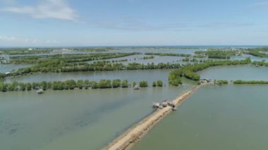 Kasaba mangroves suda arasında.