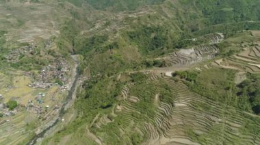 Dağlarda pirinç terasları.