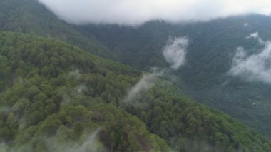 Filipinler 'deki Dağ Bölgesi.