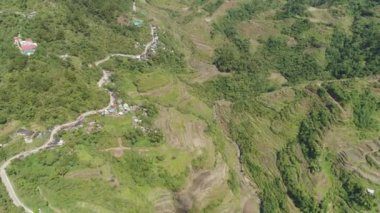 Dağlarda pirinç terasları. Filipinler, Batad, Banaue.