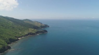 Palau adasının kıyısında. Filipinler.