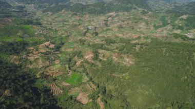 Filipinler 'de bir dağ ilinde tarım arazisi, Luzon