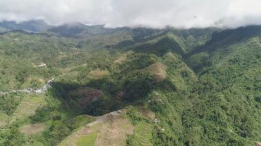 Dağlarda pirinç terasları. Filipinler, Batad, Banaue.