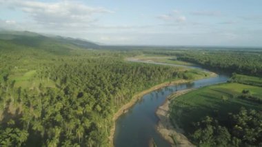 Tropikal peyzaj, palmiye ağaçları, nehir, dağlar.