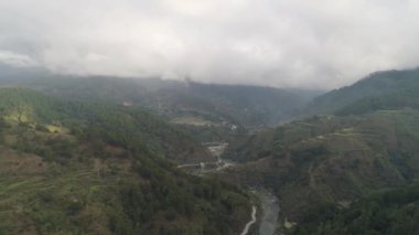 Dağlarda pirinç terasları.