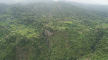 Dağlarda pirinç terasları.