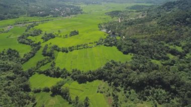 Filipinler 'de tarım arazileri olan dağ vadisi