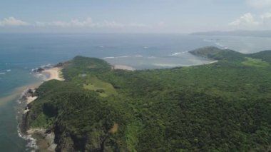 Palau adasının kıyısında. Filipinler.