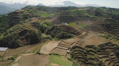 Filipinler 'de bir dağ ilinde tarım arazisi, Luzon