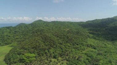 Palau adasının kıyısında. Filipinler.