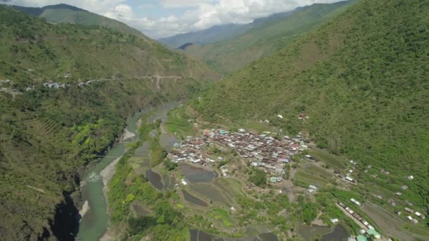 terrasses de riz dans les montagnes.