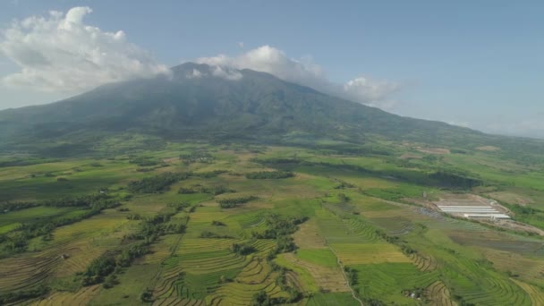 Filipinler 'de tarım arazileri olan dağ vadisi. — Stok video