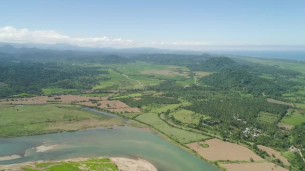 Vale da montanha com terras agrícolas nas Filipinas — Vídeo de Stock