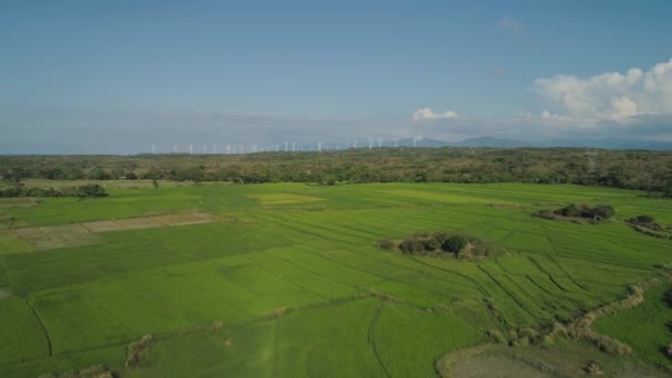 Flygfoto Ris Plantage Terrass Jordbruksmark Jordbrukare Tropiska Landskapet Med Åkrar — Stockvideo