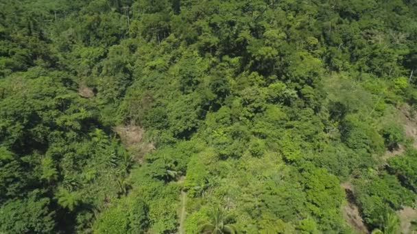 带热带雨林的山水景观. — 图库视频影像