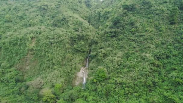 Wodospad w górach. — Wideo stockowe
