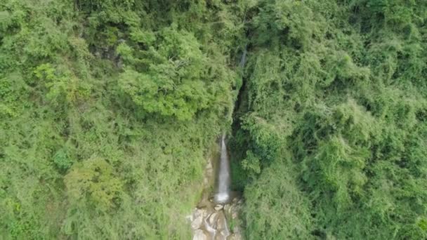 Cascada en las montañas. — Vídeos de Stock