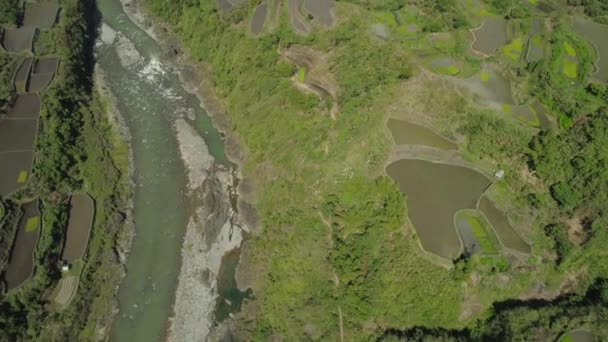 Terrazas de arroz en las montañas. — Vídeo de stock