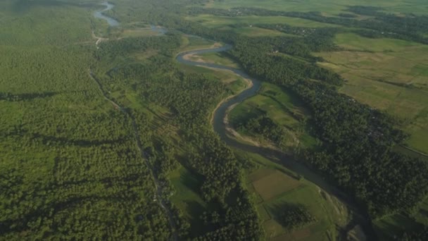 Tropikal peyzaj, palmiye ağaçları, nehir, dağlar. — Stok video