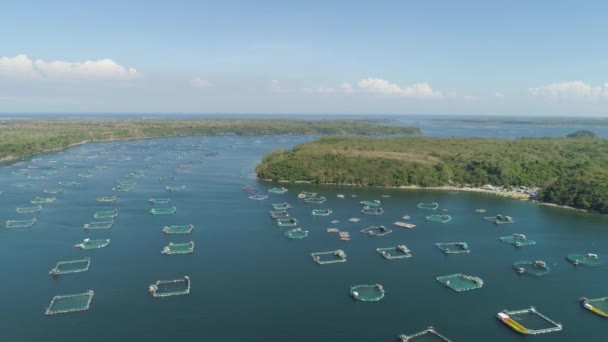 Fischzucht im Meer. — Stockvideo