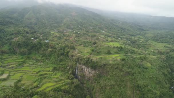 Terrasses de riz dans les montagnes. — Video