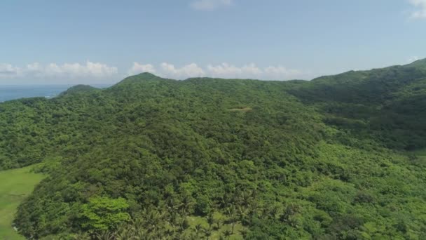 Costa dell'isola di Palau. Filippine. — Video Stock