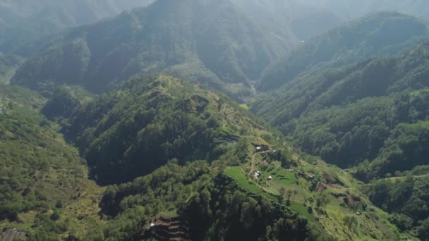 Terrasses de riz dans les montagnes. — Video