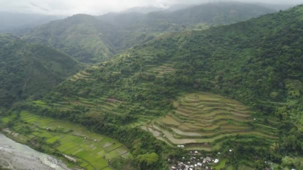 Terrazas de arroz en las montañas. — Vídeos de Stock