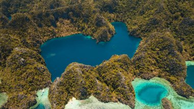 Filipinler, Coron, Palawan 'da tropikal bir adada Barakuda Gölü.