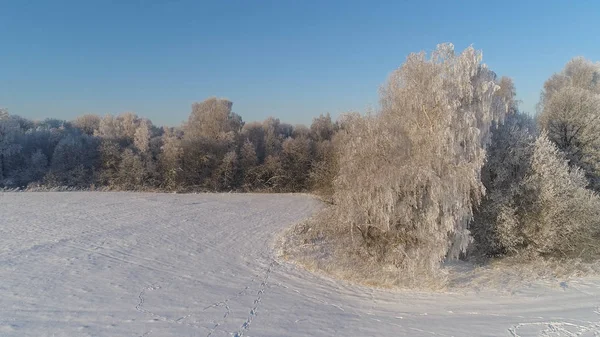 Зимний пейзаж в сельской местности — стоковое фото