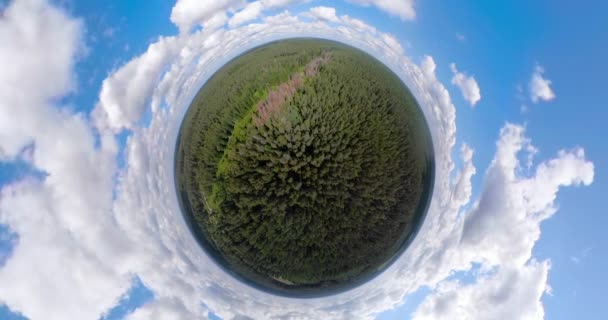 飞行在绿色森林球形全景 — 图库视频影像