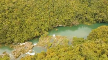 Cazibe zipline ormanda Bohol, Filipinler.