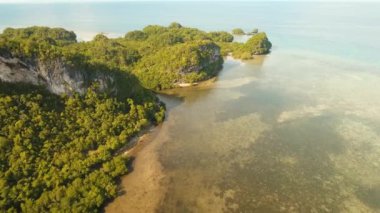 Tropik adanın kıyıları.