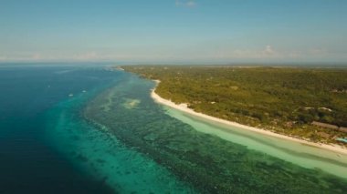 Turkuaz deniz Filipinler, Bohol ve tropikal plaj