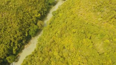 Yağmur ormanlarında Filipinler, Bohol Nehri.