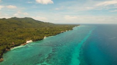 Turkuaz deniz Filipinler, Bohol ve tropikal plaj