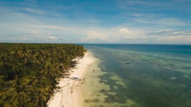Turkuaz deniz Filipinler, Bohol ve tropikal plaj