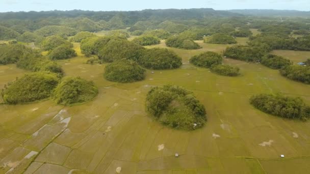 Krajina s green hills Bohol, Filipíny — Stock video