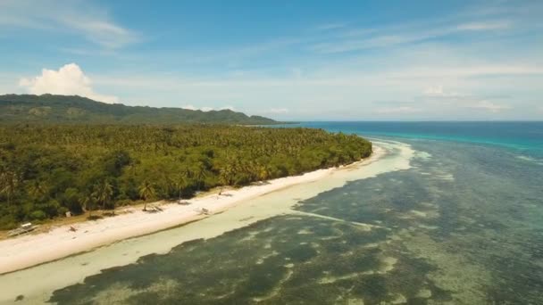 熱帯のビーチとターコイズ ブルーの海フィリピン、ボホール島 — ストック動画