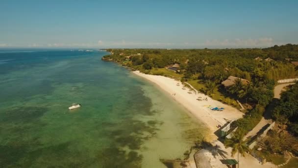 Tropisch strand en turquoise zee Filippijnen, Bohol — Stockvideo