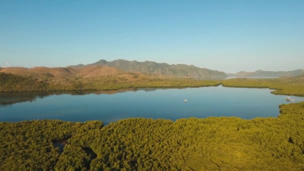 Nascer do sol na ilha tropical — Vídeo de Stock