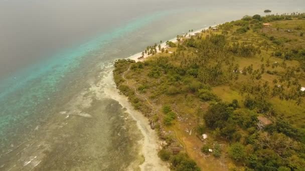 Belle île tropicale. — Video