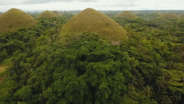 Landscape with green hills Bohol, Philippines — Stock Video