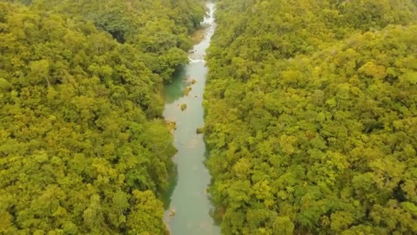 Rivier in regenwoud Filippijnen, Bohol. — Stockvideo