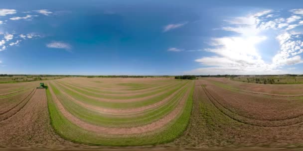 Combine harvester on wheat field VR360 — Stock Video