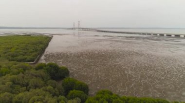 Madura boğazı üzerindeki Java ve Madura adalarını birbirine bağlayan hava manzaralı mangrovlar ve asma kablo köprüsü. Surabaya yüksek kıyı köprüsü ve karayolu. Java, Endonezya