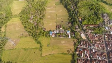 Endonezya 'da tarım arazisi olan tropikal araziler