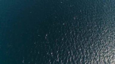 Gilimanuk limanında deniz yolcusu feribotu. Bali Endonezya.