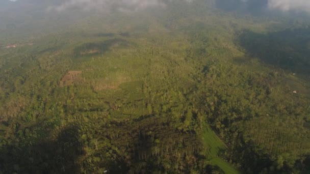 Zemědělská půda a vesnice Bali, Indonésie. — Stock video