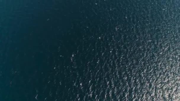 Puerto de ferry de pasajeros marítimos Gilimanuk. Bali Indonesia. — Vídeo de stock